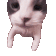 :catkiss: