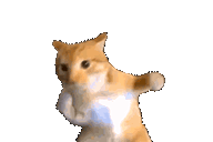 :catpunch: