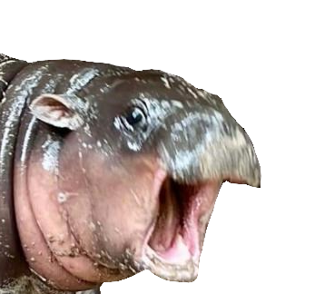 :hippopog: