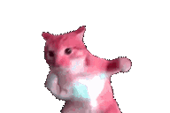 :hyperpunchcat: