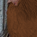 :niggachorb4: