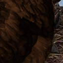 :niggachorb6: