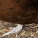 :niggachorb8: