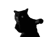 :niggapunchcat: