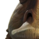 :jarjar4: